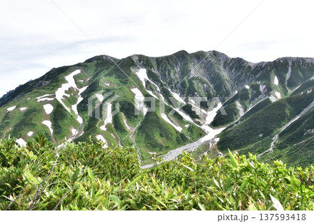 夏の立山、別山を望む 137593418