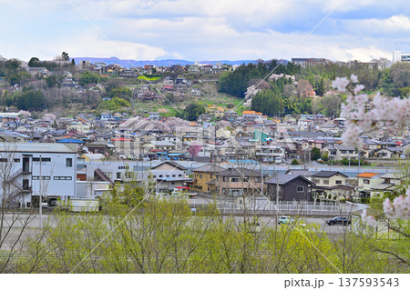 桜の咲く頃 沼田市郊外の街並み 利根川地蔵橋付近の風景 桜の咲く頃 沼田市郊外の街並み 利根川地蔵橋付近の風景 137593543