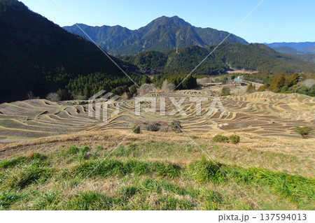 丸山千枚田の棚田風景(三重県熊野市) 丸山千枚田の棚田風景(三重県熊野市) 137594013