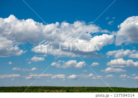 春の牧草畑と青空 137594314