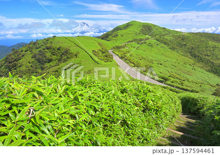 伊豆半島の伊豆山稜線歩道 夏の達磨山と富士山と西伊豆スカイライン 伊豆半島の伊豆山稜線歩道 夏の達磨山と富士山と西伊豆スカイライン 137594461
