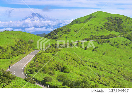 伊豆半島の伊豆山稜線歩道　夏の古稀山より望む富士山と達磨山と西伊豆スカイライン 137594467