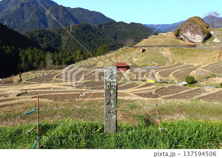 丸山千枚田の棚田風景(三重県熊野市) 丸山千枚田の棚田風景(三重県熊野市) 137594506