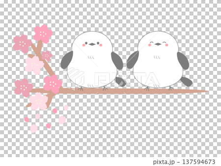 二羽のシマエナガが桜の木の枝にとまっているイラスト_挿絵_可愛い 137594673