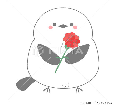 母の日のカーネーションを胸に抱える可愛いシマエナガの手描きイラスト 母の日のカーネーションを胸に抱える可愛いシマエナガの手描きイラスト 137595403
