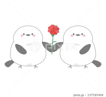 二羽の兄弟シマエナガがカーネーションを持つ手描きのイラスト 137595404