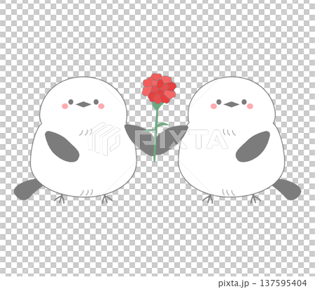 二羽の兄弟シマエナガがカーネーションを持つ手描きのイラスト 137595404