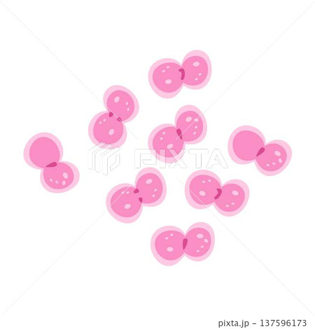 Pink Cell Division Animated Illustration of Binary Fission Pink Cell Division Animated Illustration of Binary Fission 137596173