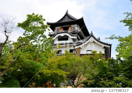 犬山城 天守閣 犬山城 天守閣 137596327