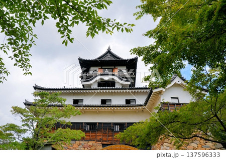 犬山城 天守閣 137596333