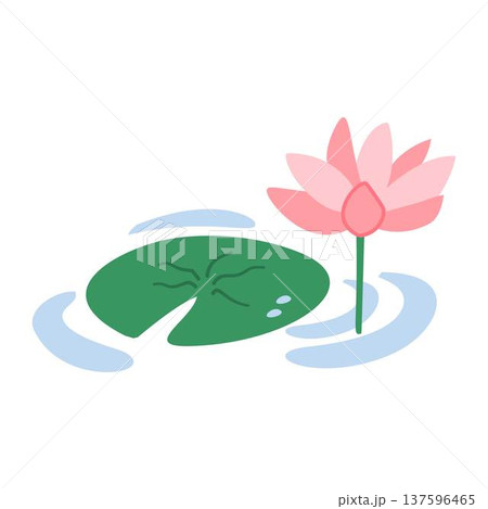 Lotus Leaf and Flower Cartoon, Minhwa Style Korean Lotus Lotus Leaf and Flower Cartoon, Minhwa Style Korean Lotus 137596465