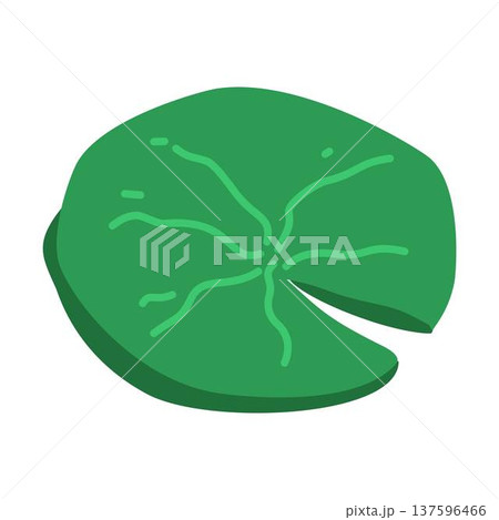 Lotus Leaf, Floating Giant Leaves of Victoria Amazonica Plant Lotus Leaf, Floating Giant Leaves of Victoria Amazonica Plant 137596466