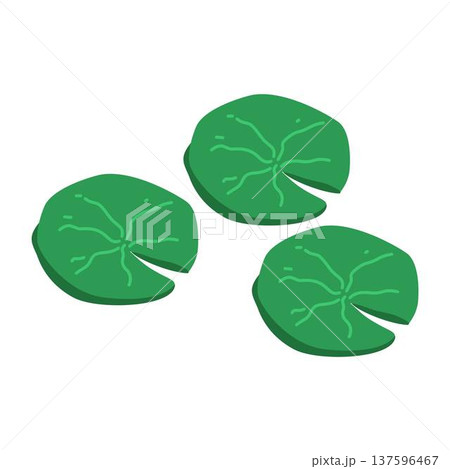 Lotus leaf, Illustration of a Simple Lotus Leaf 137596467