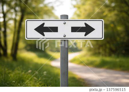 選択を象徴する矢印サイン 137596515