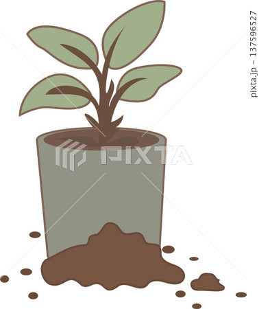 Cute potted plant, simple colorful flat design, minimal home scene, illustration, flat style, PNG Cute potted plant, simple colorful flat design, minimal home scene, illustration, flat style, PNG 137596527