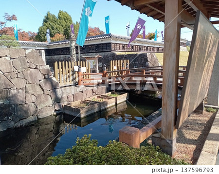 勝竜寺城公園　お堀 137596793