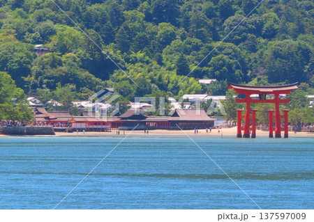 【広島県】改修工事後の日本三景安芸の宮島の大鳥居 【広島県】改修工事後の日本三景安芸の宮島の大鳥居 137597009