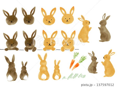 かわいいウサギのイラストセット 137597012