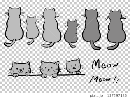 Hand drawn white cat illustration Hand drawn white cat illustration 137597186