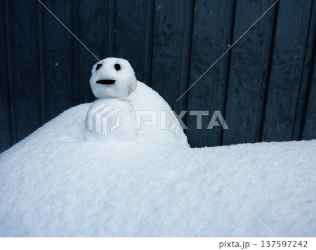 雪だるま、かわいい、寒い、ゆきだるま、自然、スノーマン、白、コピースペース、可愛い 雪だるま、かわいい、寒い、ゆきだるま、自然、スノーマン、白、コピースペース、可愛い 137597242