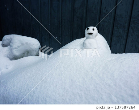 雪だるま、かわいい、寒い、ゆきだるま、自然、スノーマン、白、コピースペース、可愛い 雪だるま、かわいい、寒い、ゆきだるま、自然、スノーマン、白、コピースペース、可愛い 137597264