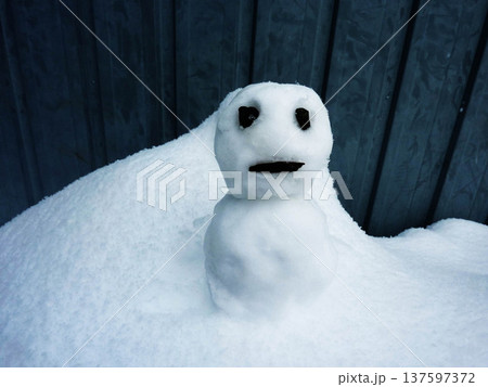 雪だるま、かわいい、寒い、ゆきだるま、自然、スノーマン、白、コピースペース 137597372
