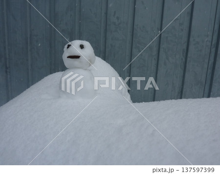 雪だるま、かわいい、寒い、ゆきだるま、自然、スノーマン、白、コピースペース 137597399