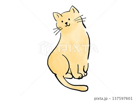 手描きの猫のイラスト 手描きの猫のイラスト 137597601