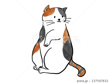 手描きの猫のイラスト 手描きの猫のイラスト 137597632