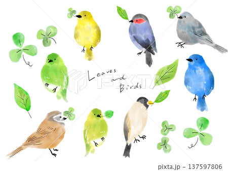 クローバーを加えた小鳥のイラストセット クローバーを加えた小鳥のイラストセット 137597806