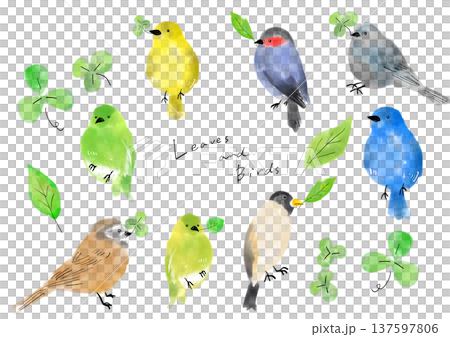クローバーを加えた小鳥のイラストセット クローバーを加えた小鳥のイラストセット 137597806