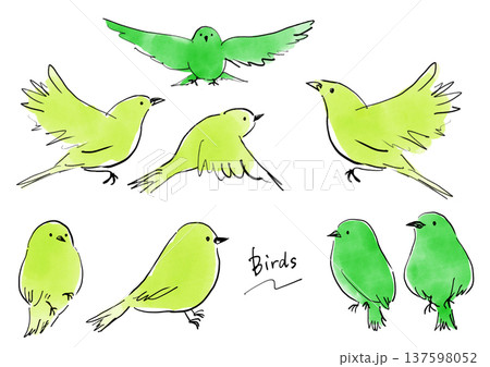 カラフルな小鳥のイラスト素材 カラフルな小鳥のイラスト素材 137598052