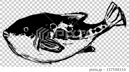 水墨画のフグの墨絵イラスト挿絵素材 水墨画のフグの墨絵イラスト挿絵素材 137598310