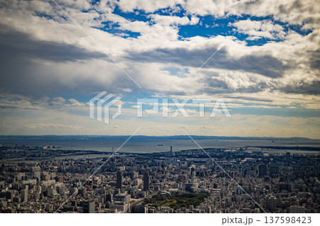 東京の俯瞰　東京　都内　スカイツリー　展望台　快晴　都市　見下ろす　ビル　メトロポリス　首都　日本 137598423