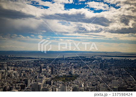 東京の俯瞰 東京 都内 スカイツリー 展望台 快晴 都市 見下ろす ビル メトロポリス 首都 日本 東京の俯瞰 東京 都内 スカイツリー 展望台 快晴 都市 見下ろす ビル メトロポリス 首都 日本 137598424