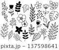 シンプルな植物の線画イラスト 137598641
