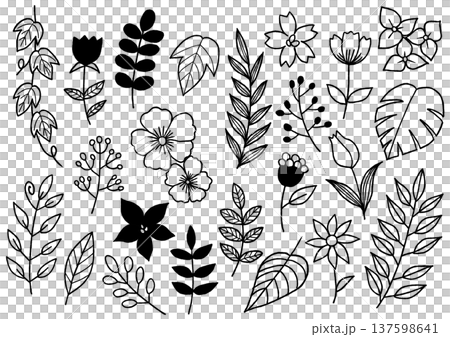 Simple plant line drawing illustration Simple plant line drawing illustration 137598641