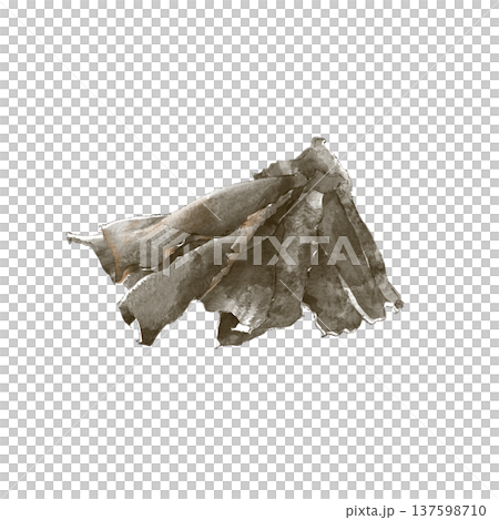 Watercolor dashi kelp 137598710