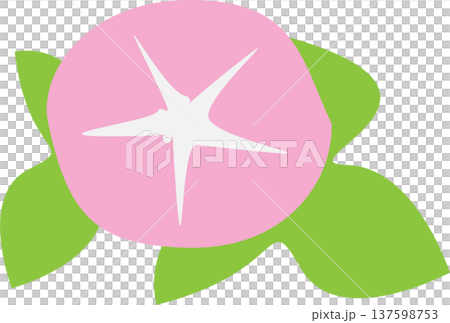 シンプルなアサガオのイラスト 137598753
