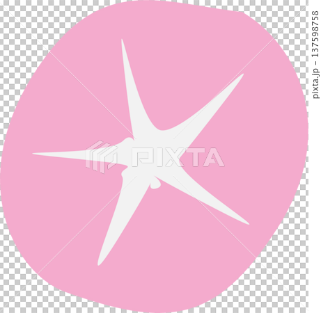 シンプルなアサガオのお花のイラスト|ピンク シンプルなアサガオのお花のイラスト|ピンク 137598758