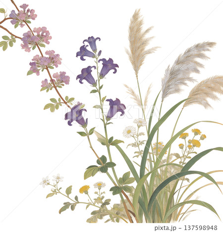 和風の草花と紫の桔梗、パンパスグラスの美しいイラスト 137598948