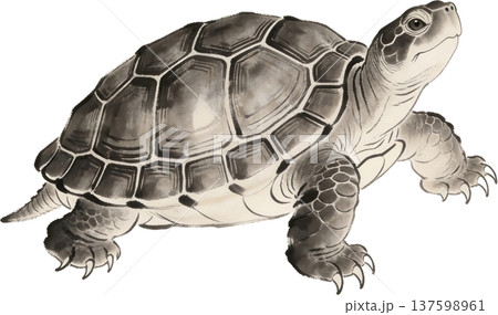 水墨画の亀 和風の墨絵イラスト 水墨画の亀 和風の墨絵イラスト 137598961