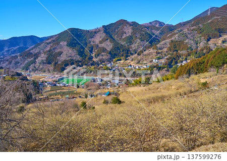 神奈川県松田町寄の寄展望台付近から西側の眺望(寄ロウバイ園,宮地山,タコチバ山など) 137599276
