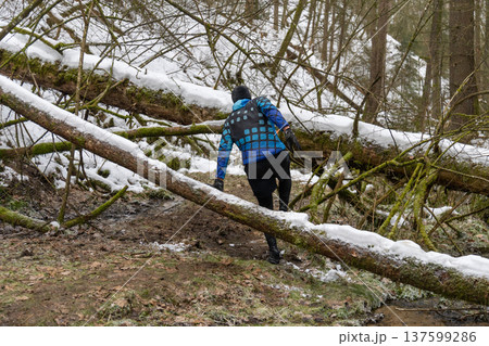 A male runner in a blue patterned jacket climbs over a large fallen tree trunk A male runner in a blue patterned jacket climbs over a large fallen tree trunk 137599286