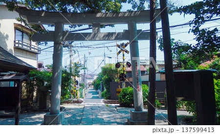 江ノ島　御霊神社 137599413