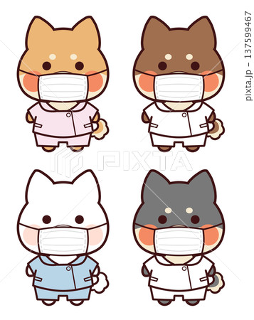 看護師服を着てマスクをする柴犬 137599467