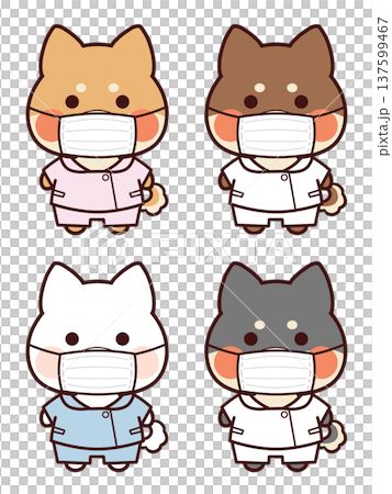 看護師服を着てマスクをする柴犬 137599467