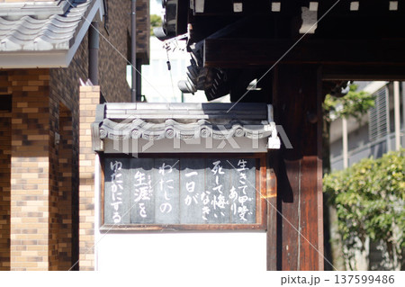 日本の寺院の言葉看板 Japanese temple quote sign 日本の寺院の言葉看板 Japanese temple quote sign 137599486