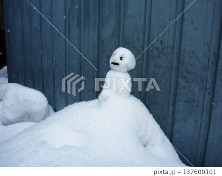 冬、雪だるま、雪、雪景色、寒い、積雪、冬景色、風景、屋外、日本、自然、降雪 冬、雪だるま、雪、雪景色、寒い、積雪、冬景色、風景、屋外、日本、自然、降雪 137600101