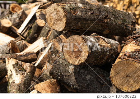 Pile of wooden logs cut for firewood creating a natural rustic background Pile of wooden logs cut for firewood creating a natural rustic background 137600222